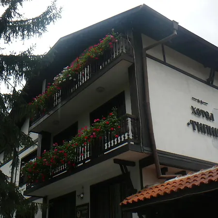 типик Guest house 2*