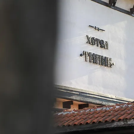 типик Guest house 2*