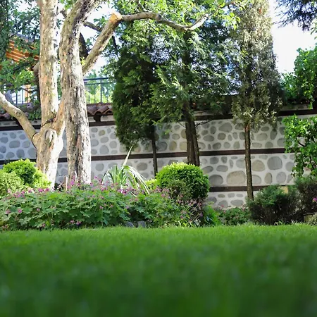 типик Guest house 2*