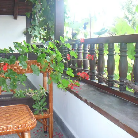 типик Pensionat 2*