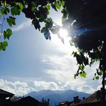 типик Bansko