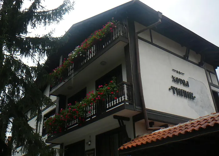 типик Guest house 2*