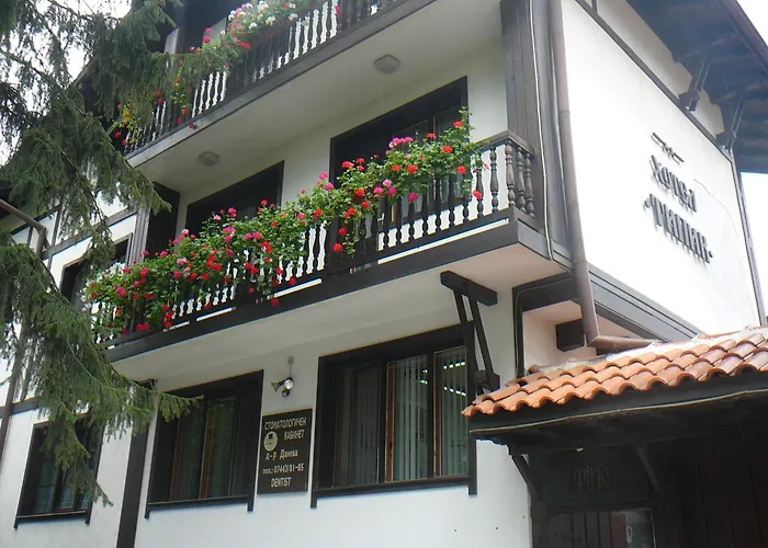 типик Guest house