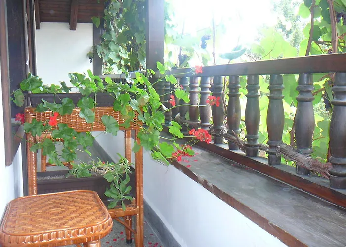 типик Guest house 2*