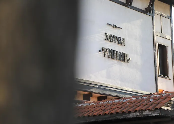 типик Guest house 2*