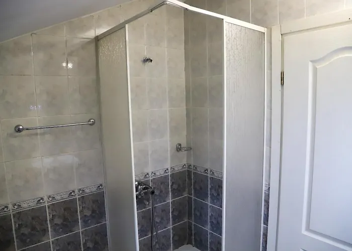 типик 班斯科