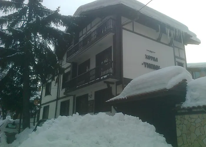 типик Guest house 2*